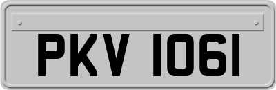 PKV1061