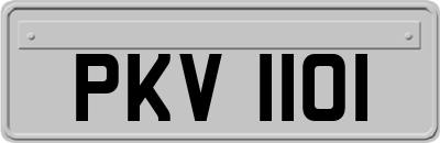 PKV1101