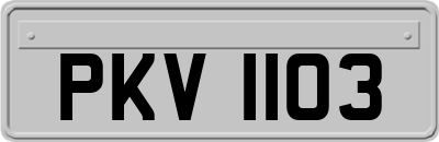 PKV1103