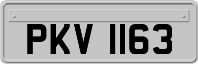 PKV1163