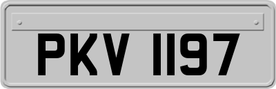 PKV1197