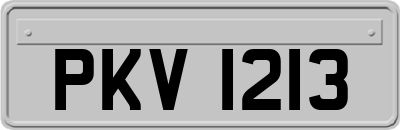 PKV1213