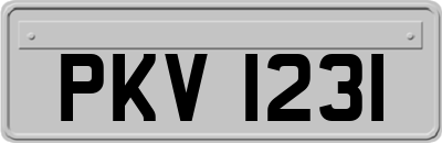 PKV1231