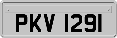 PKV1291