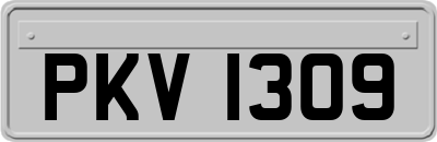 PKV1309