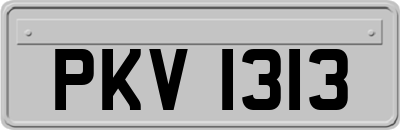 PKV1313