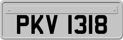 PKV1318