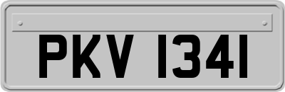 PKV1341
