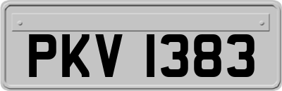 PKV1383