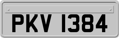 PKV1384