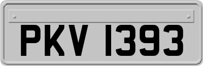 PKV1393