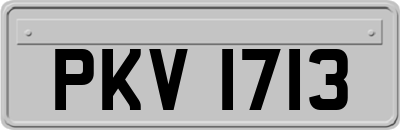 PKV1713