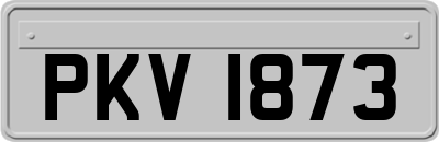 PKV1873
