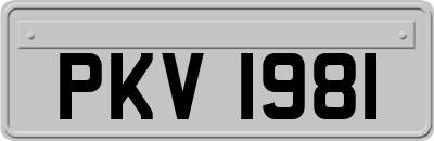 PKV1981