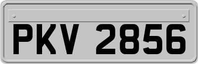 PKV2856