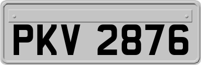 PKV2876