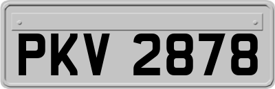 PKV2878