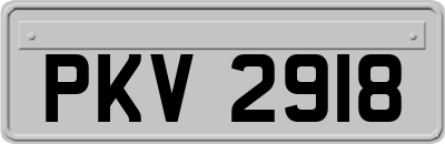 PKV2918