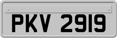 PKV2919
