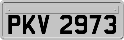 PKV2973