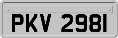 PKV2981