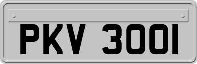 PKV3001