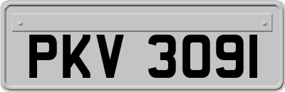 PKV3091