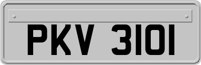 PKV3101