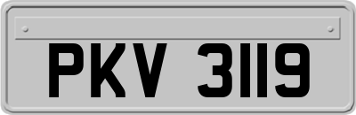 PKV3119