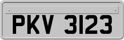 PKV3123