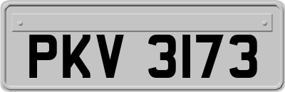 PKV3173