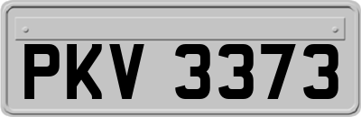 PKV3373