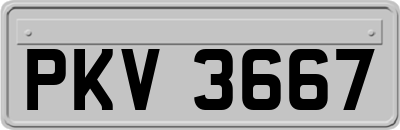 PKV3667