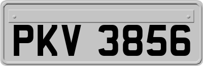 PKV3856