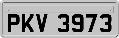 PKV3973
