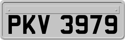 PKV3979