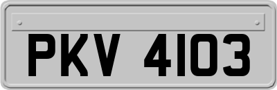 PKV4103