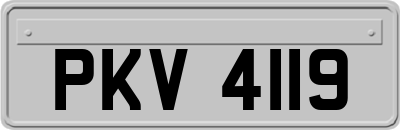PKV4119