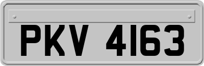 PKV4163