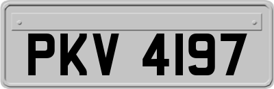 PKV4197