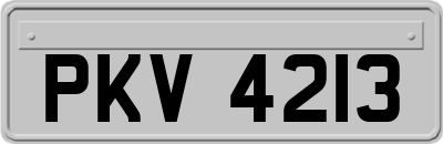 PKV4213