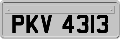 PKV4313
