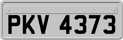 PKV4373