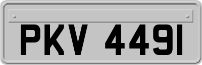 PKV4491