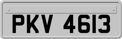 PKV4613