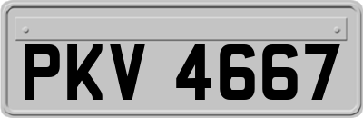 PKV4667