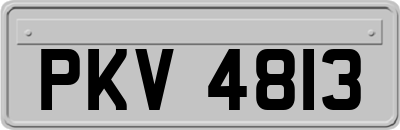 PKV4813