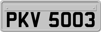 PKV5003