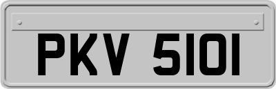 PKV5101