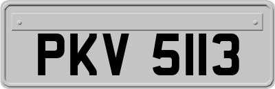 PKV5113